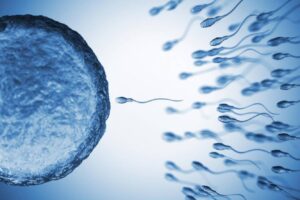 Ce que signifie rêver de sperme